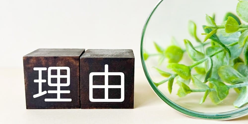 男性が中出しセックスをしたいと思う6つの理由